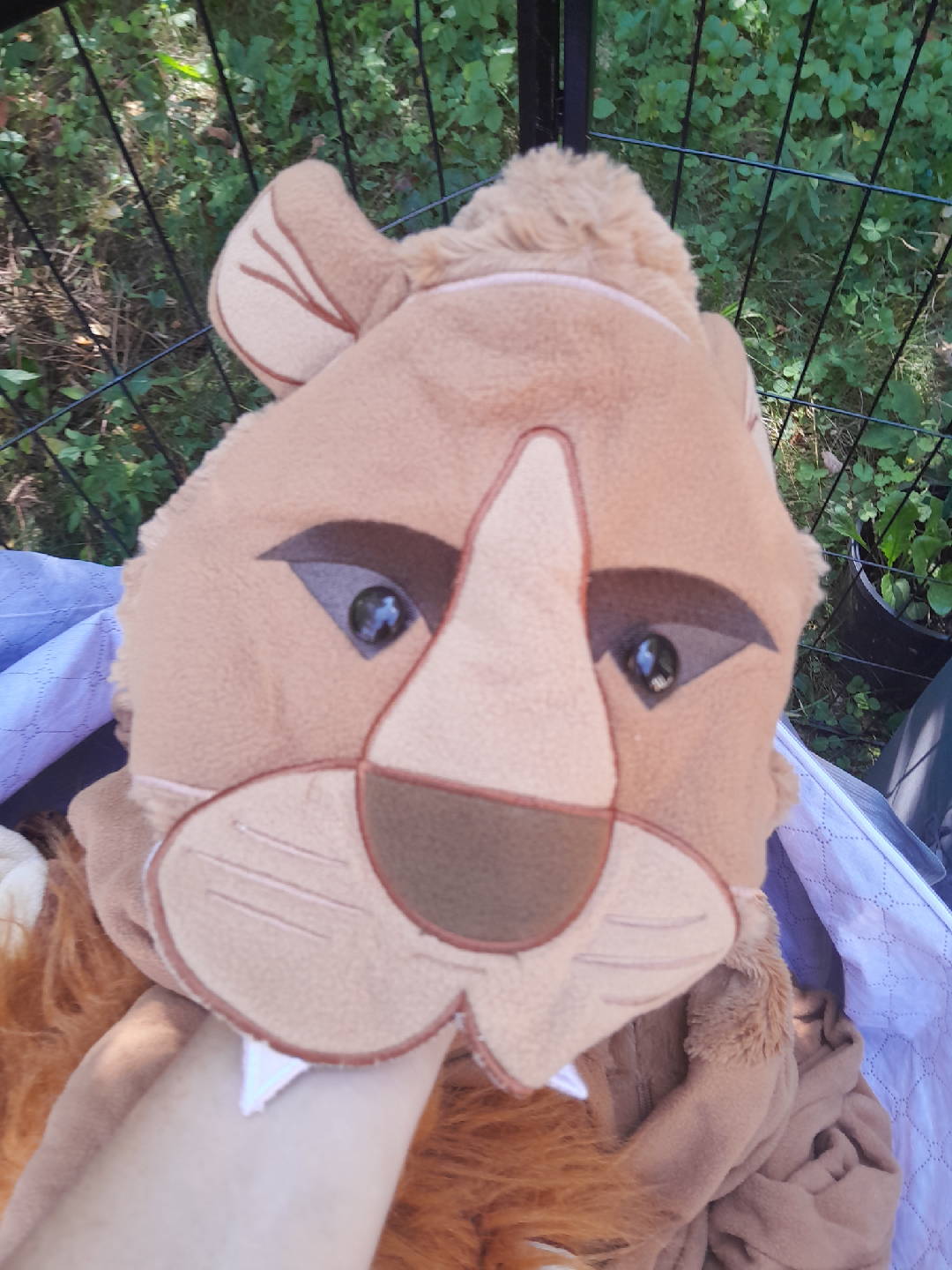 family lion costumes - photo 4