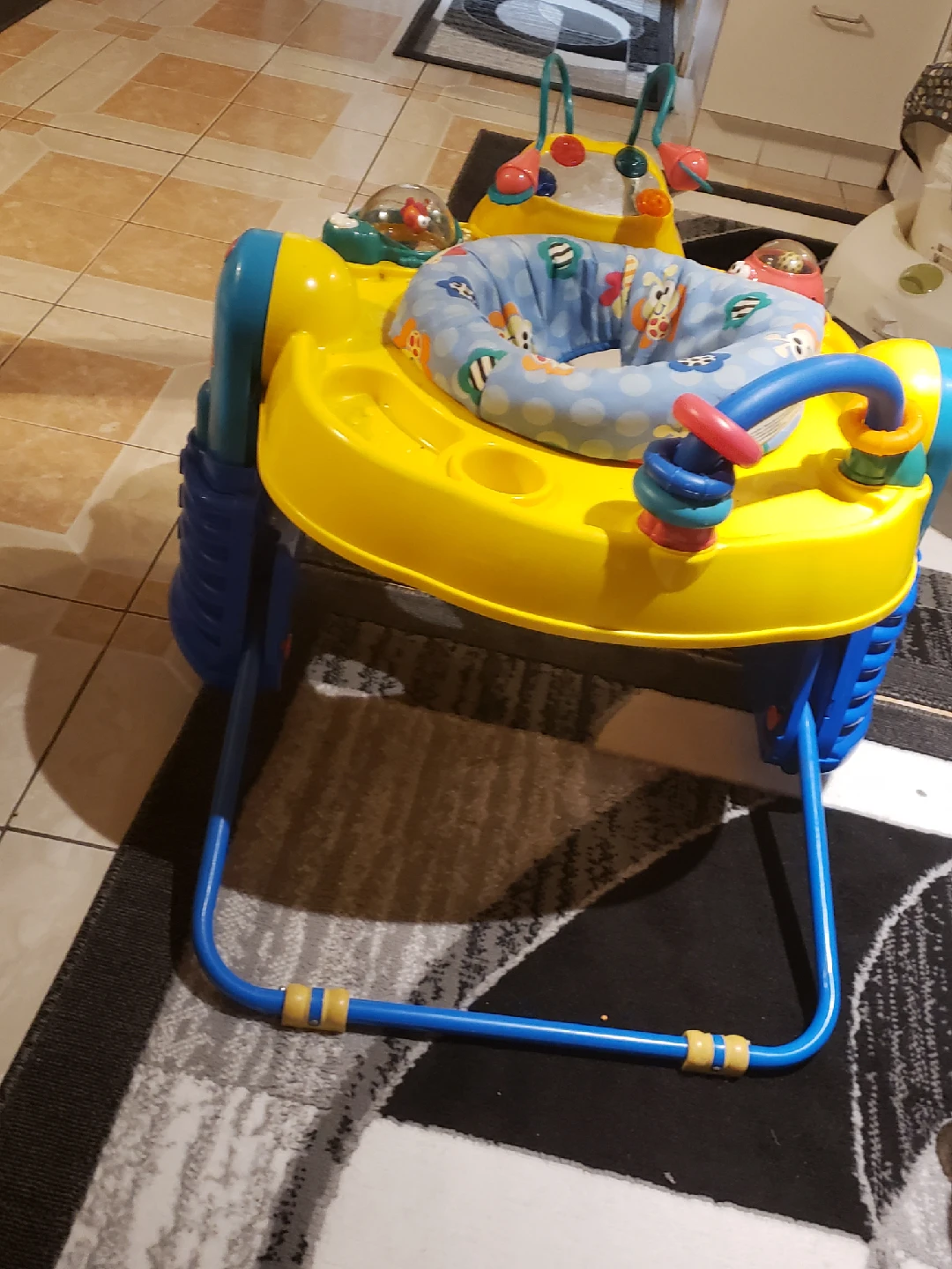 Baby Activity Walker