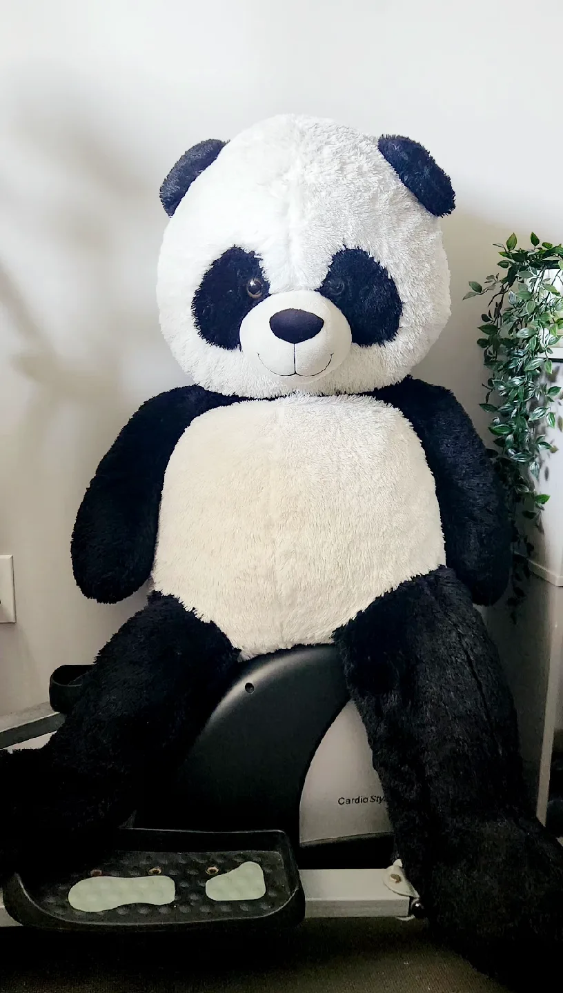 Giant Panda Plush Toy thumbnail