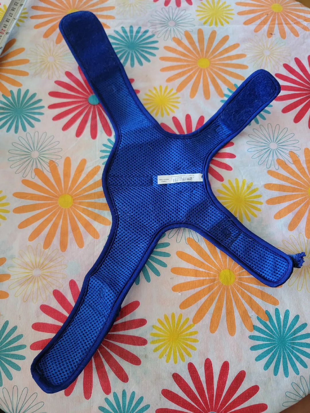 Blue Fish Pattern Cat Harness with Bow image indicator(4)