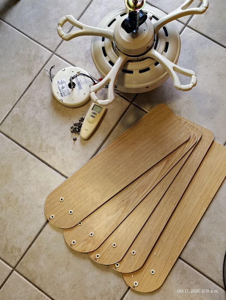 Hunter Ceiling Fan with Remote and light