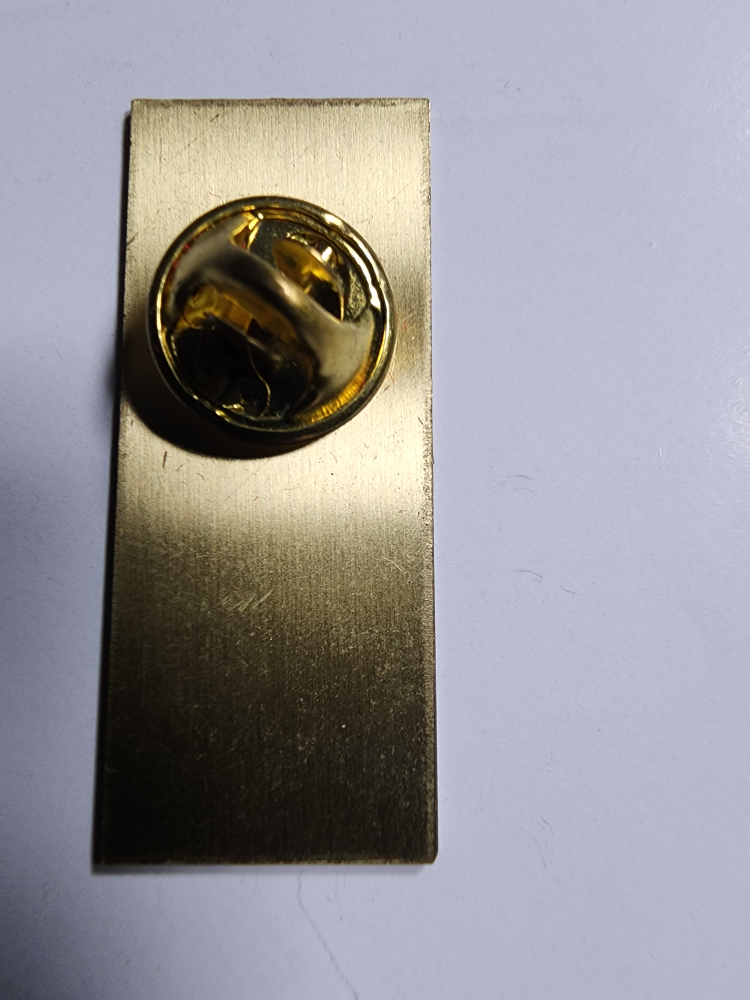 Vancouver 2010 Olympics Pin - photo 2