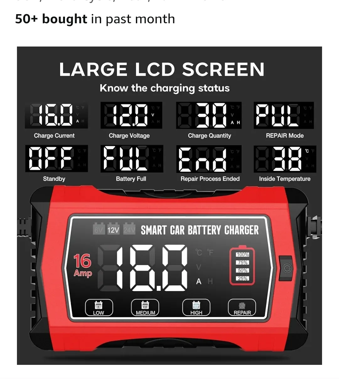 Hiyiton 16 Amp Smart Battery Charger thumbnail