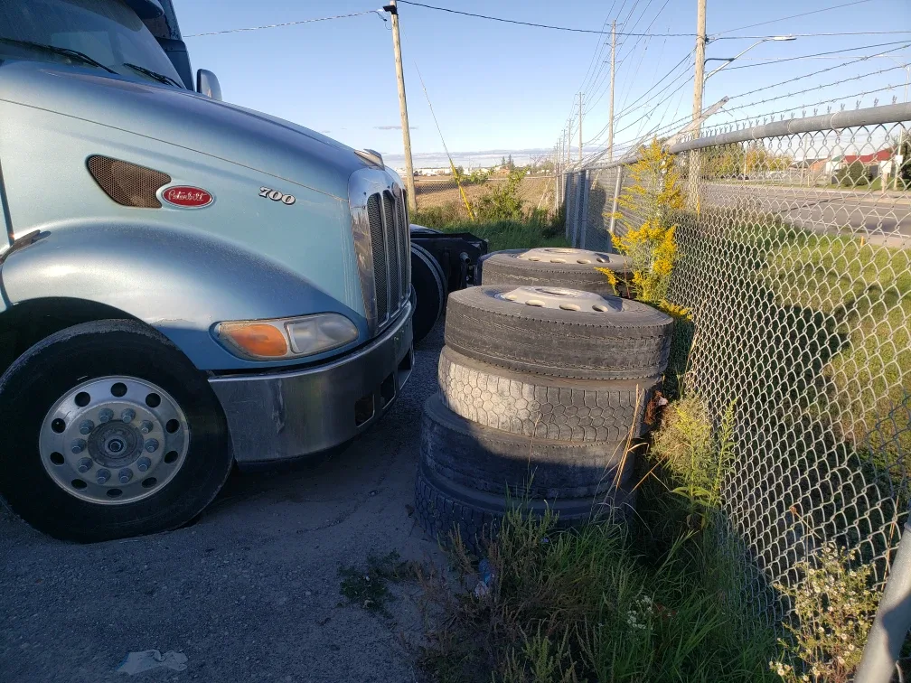 2005 Peterbilt 387 image indicator(5)