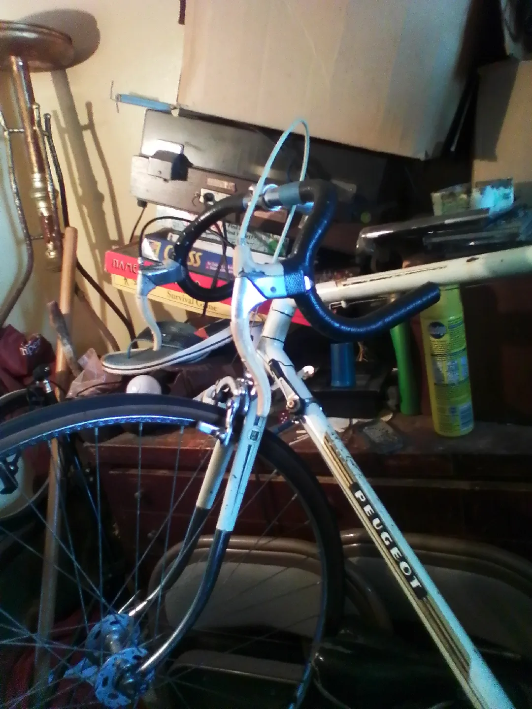 Peugeot Road Bike & Mongoose Mountain Bike image indicator(3)