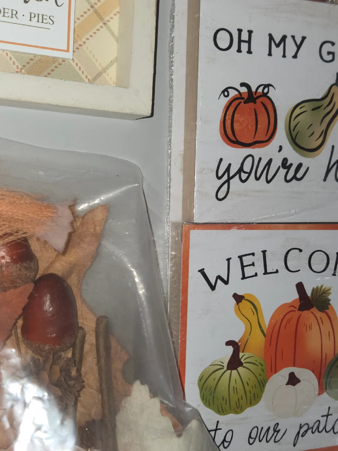 New Fall/Thanksgiving Decor Bundle - Lot A image indicator(6)