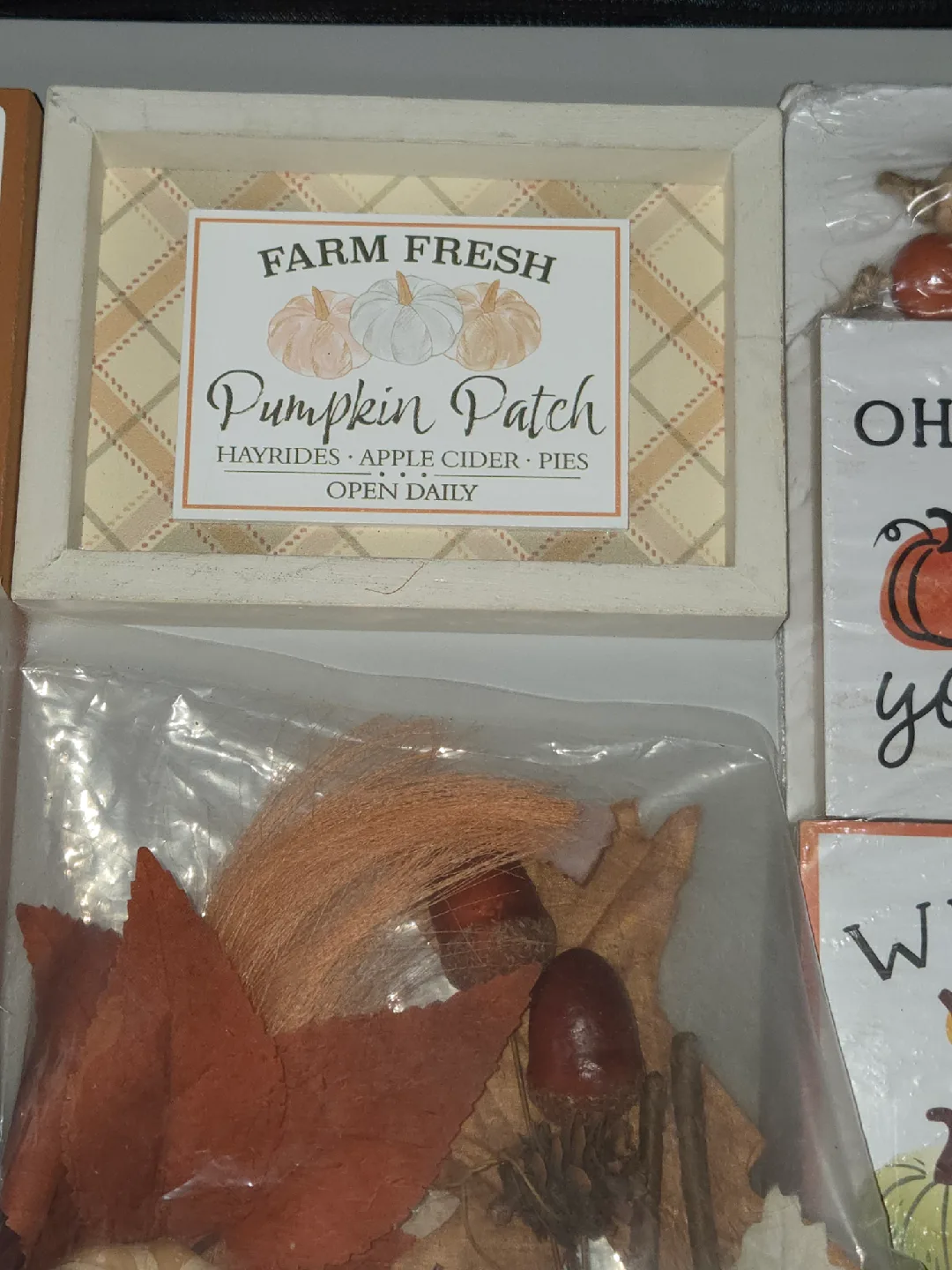 New Fall/Thanksgiving Decor Bundle - Lot A image indicator(8)