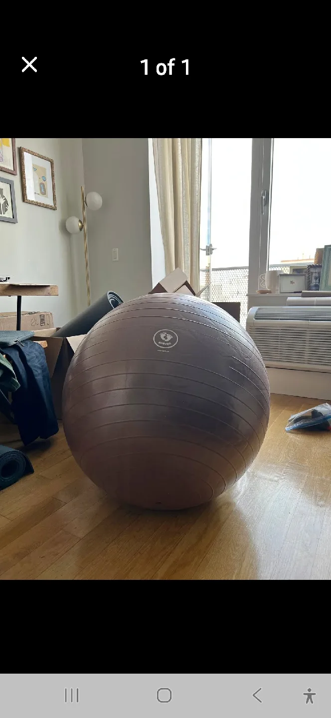 Grayoo Exercise Ball thumbnail