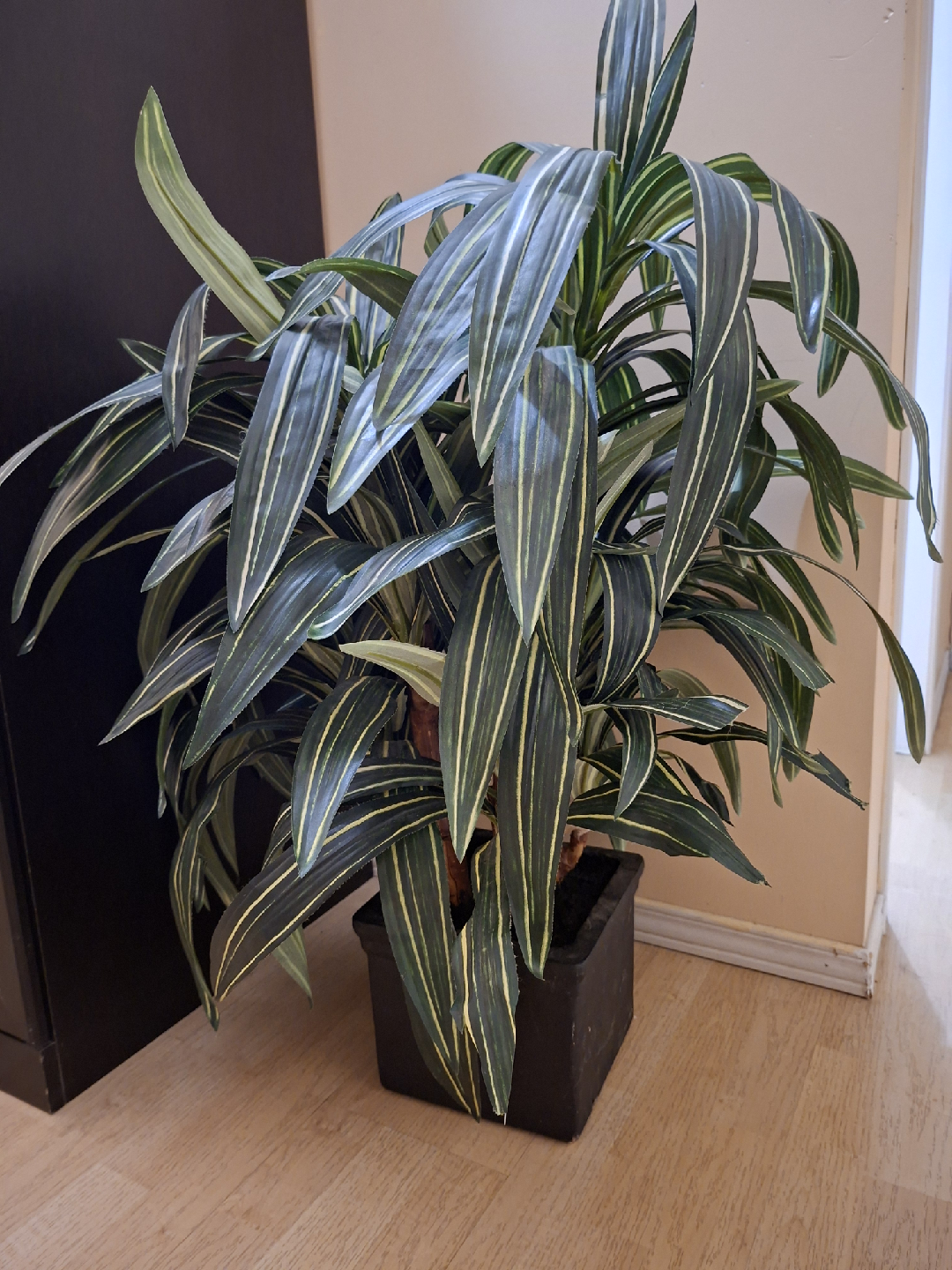 fake Potted Dracaena Plant