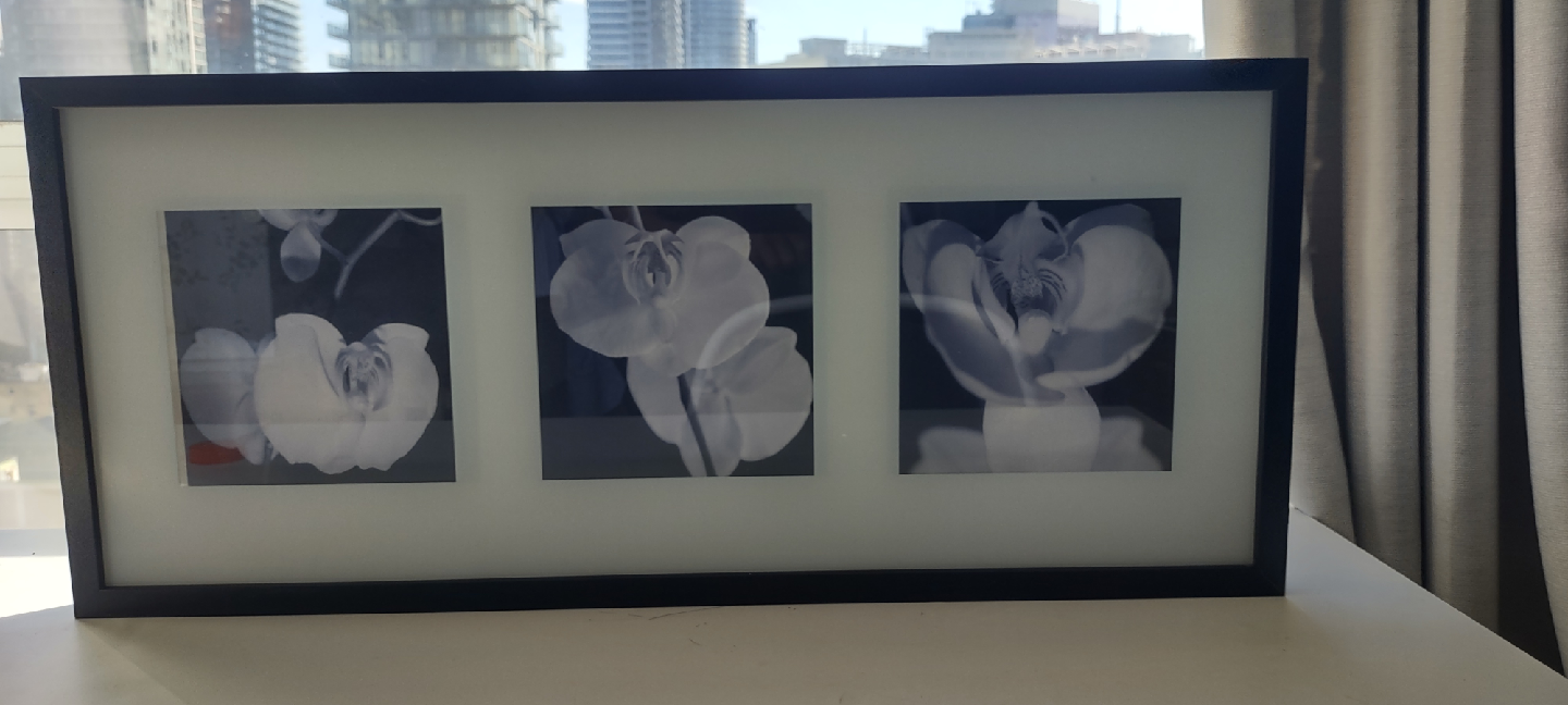 IKEA Black Framed Floral Triptych wooden Wall Art - photo 4