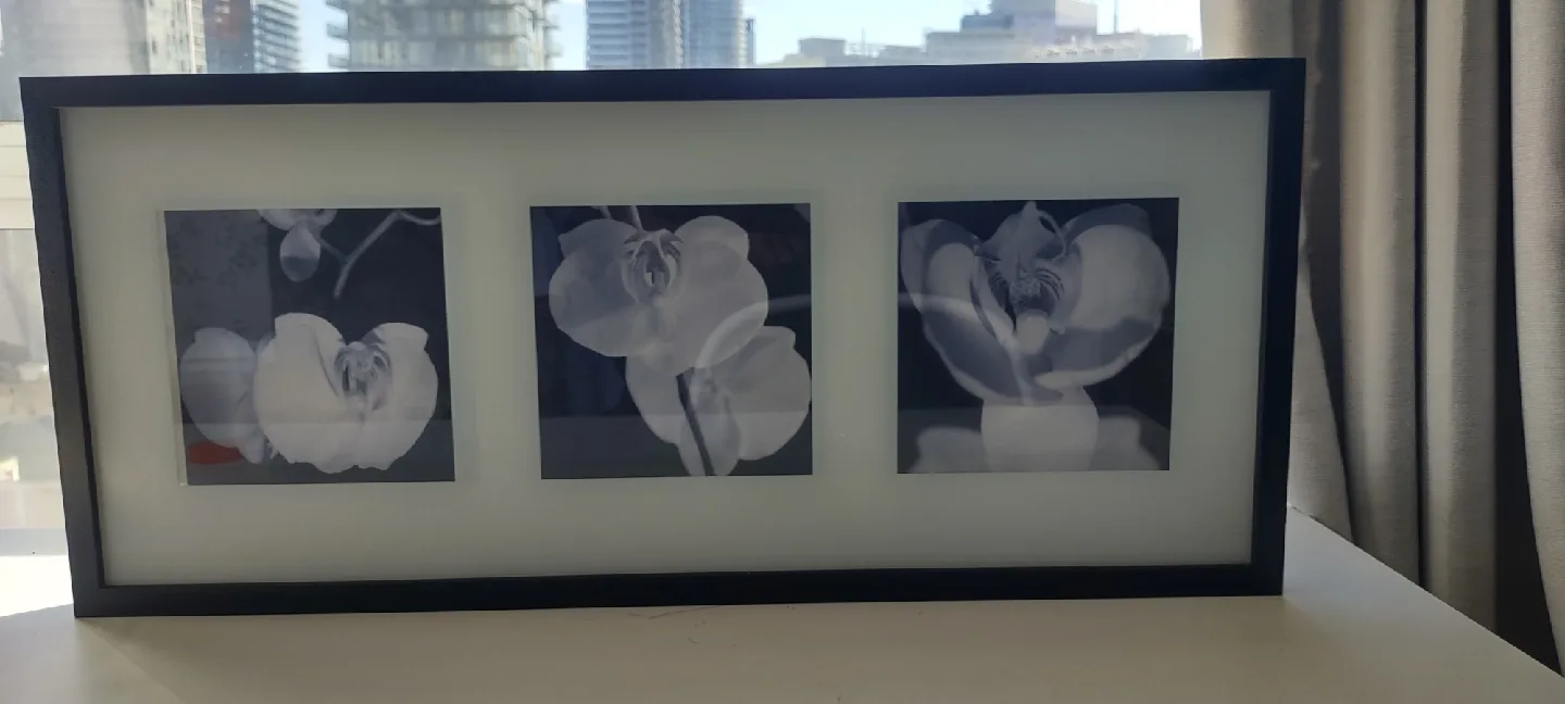 IKEA Black Framed Floral Triptych wooden Wall Art image indicator(4)