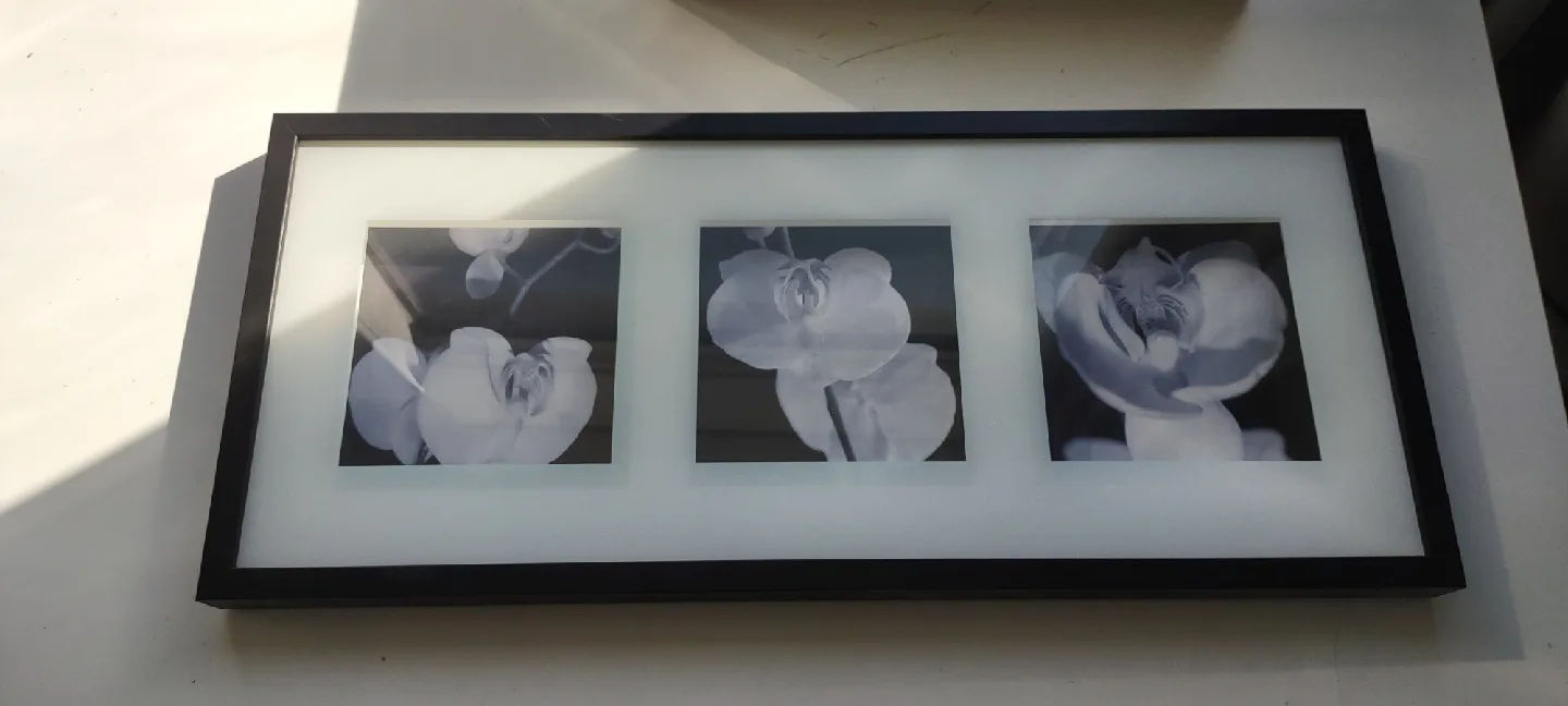 IKEA Black Framed Floral Triptych wooden Wall Art image indicator(5)