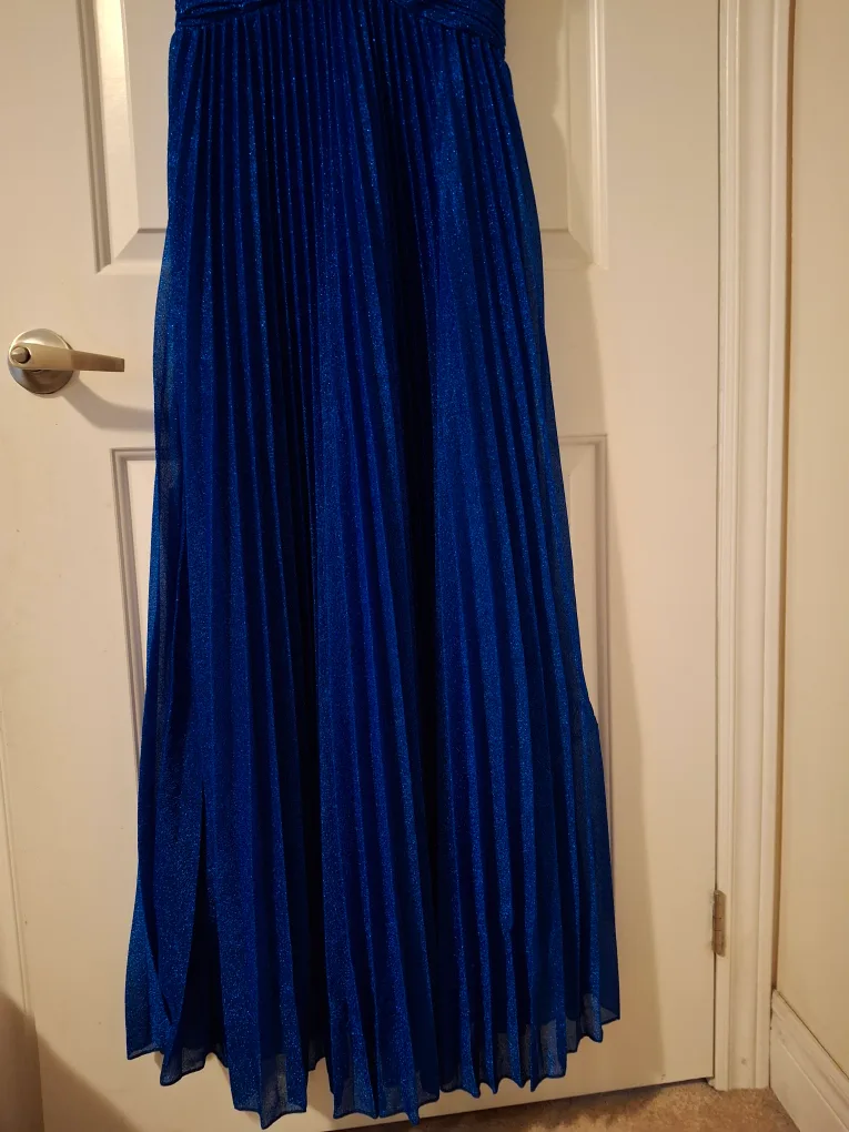 Blue Pleated Gown image indicator(3)
