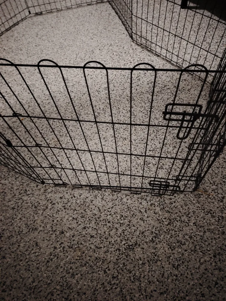 🥕Amazon Basics Foldable Octagonal Dog Playpen image indicator(2)