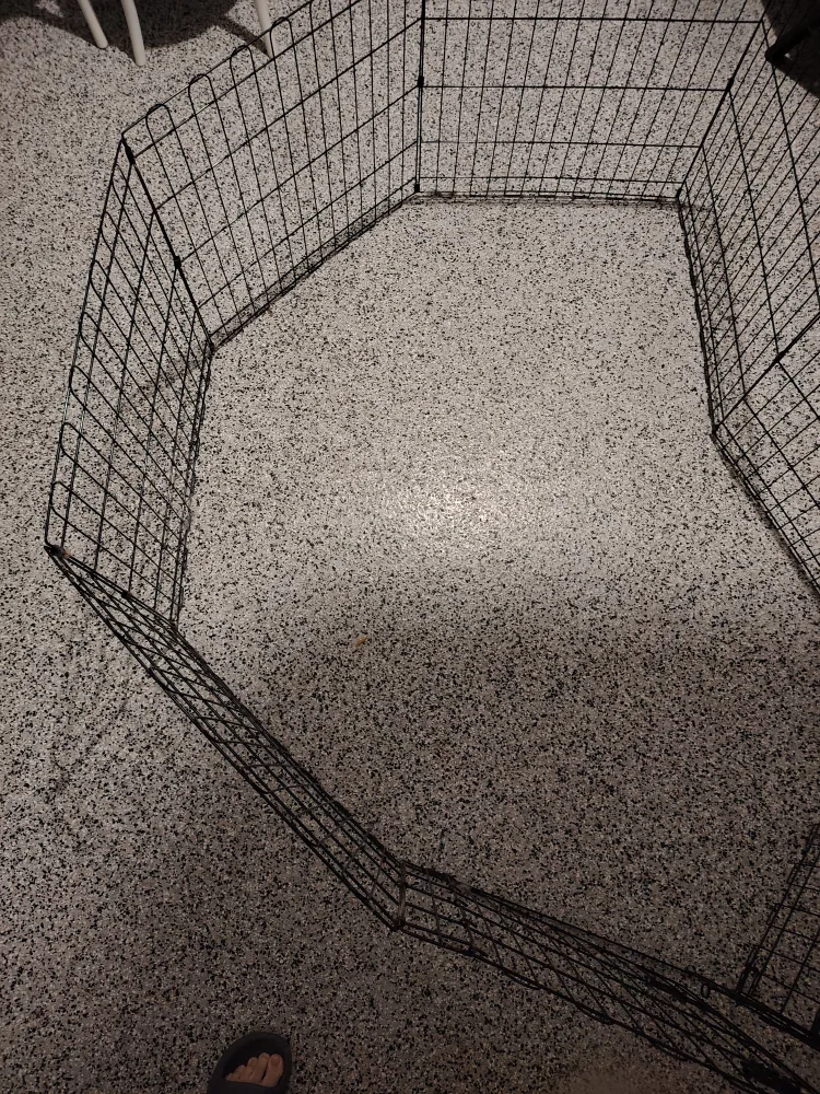 🥕Amazon Basics Foldable Octagonal Dog Playpen image indicator(4)