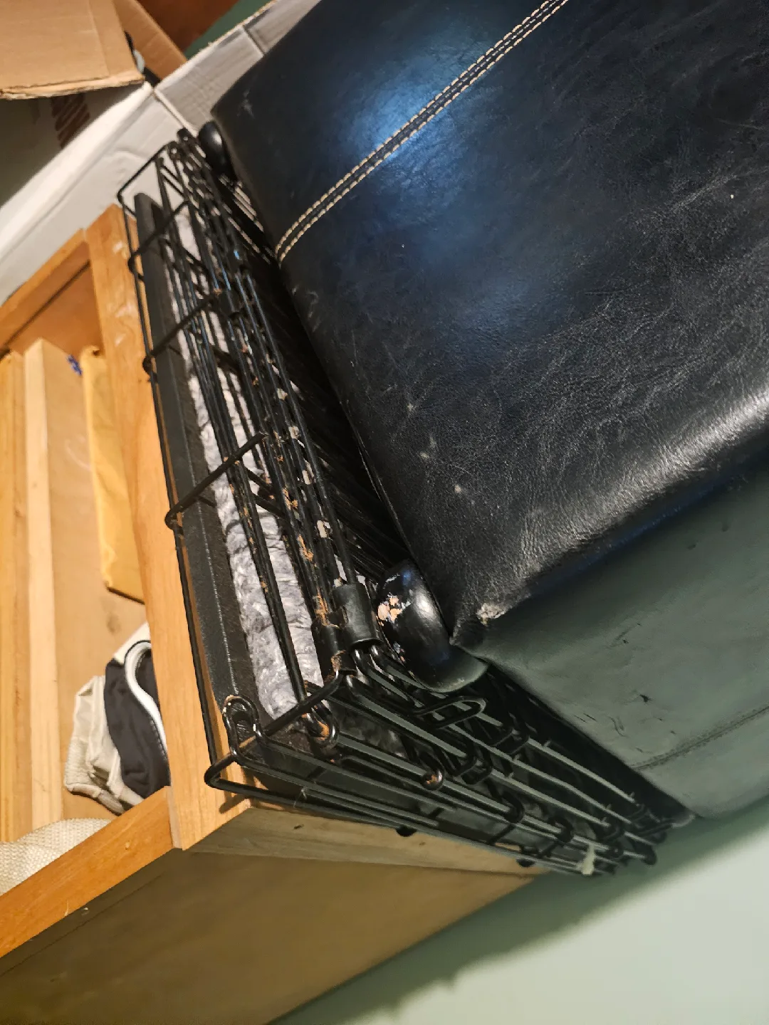 dog stuff image indicator(5)