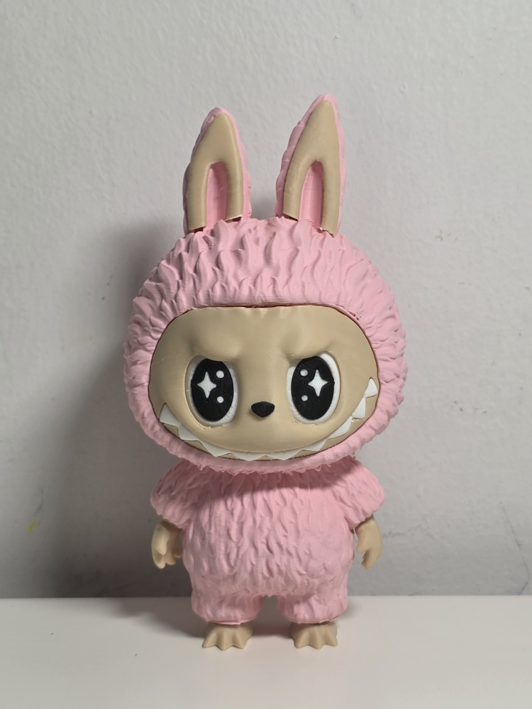 3D Printed Labubu 🔥
