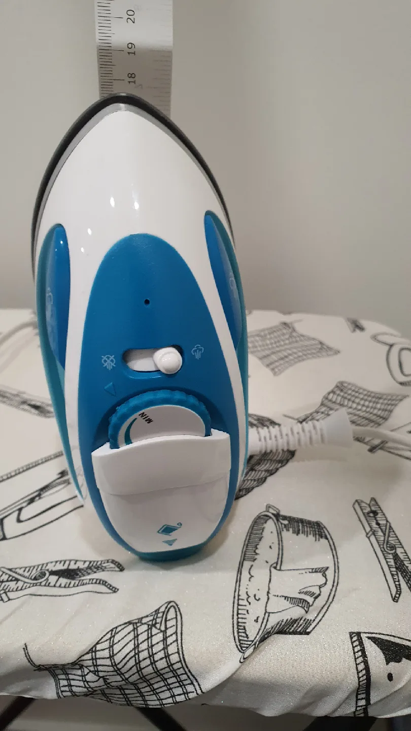Sunbeam Travel Iron