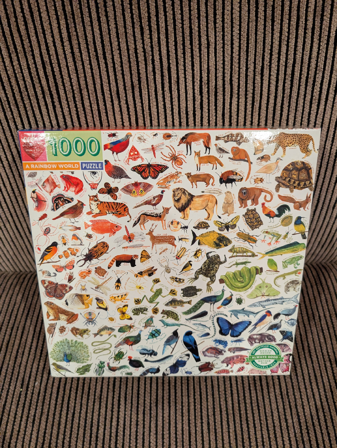 eeBoo Rainbow World 1000 Piece Puzzle