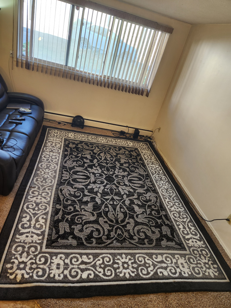 Black & Grey Area Rug
