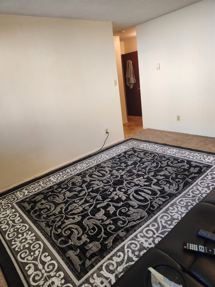 Black & Grey Area Rug - photo 2