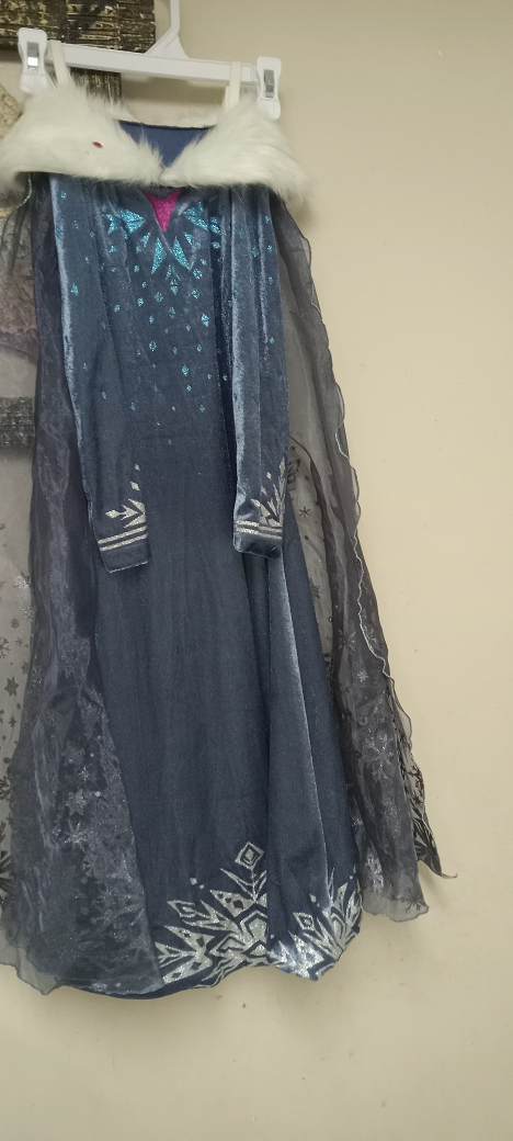 Elsa 'Frozen' Costume Dress