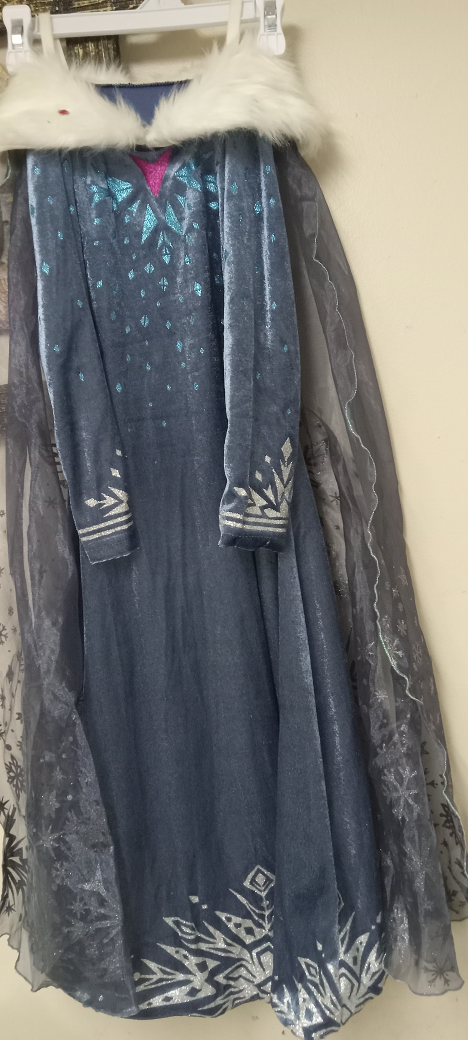 Elsa 'Frozen' Costume Dress - photo 3