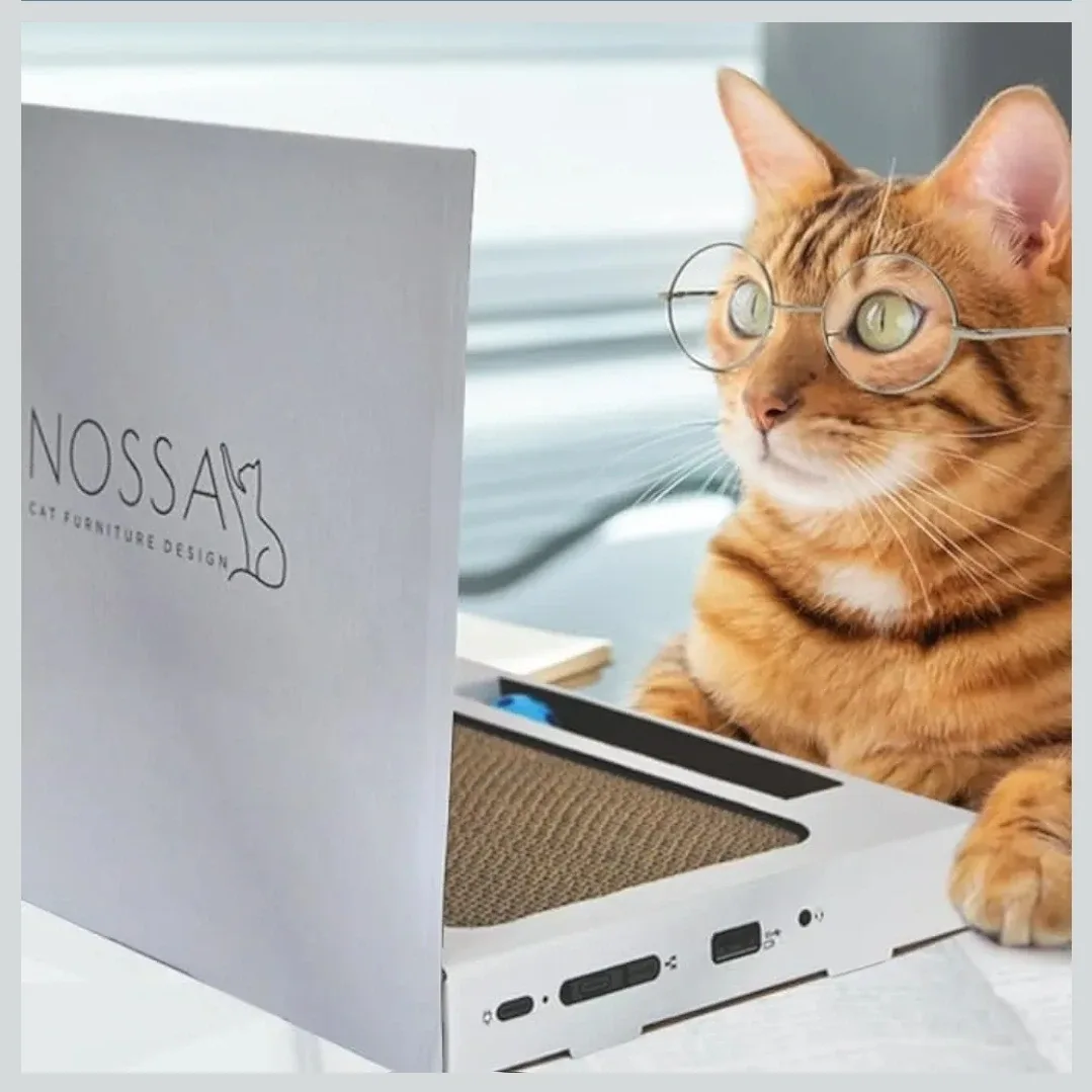 Cat Scratching Laptop image indicator(5)