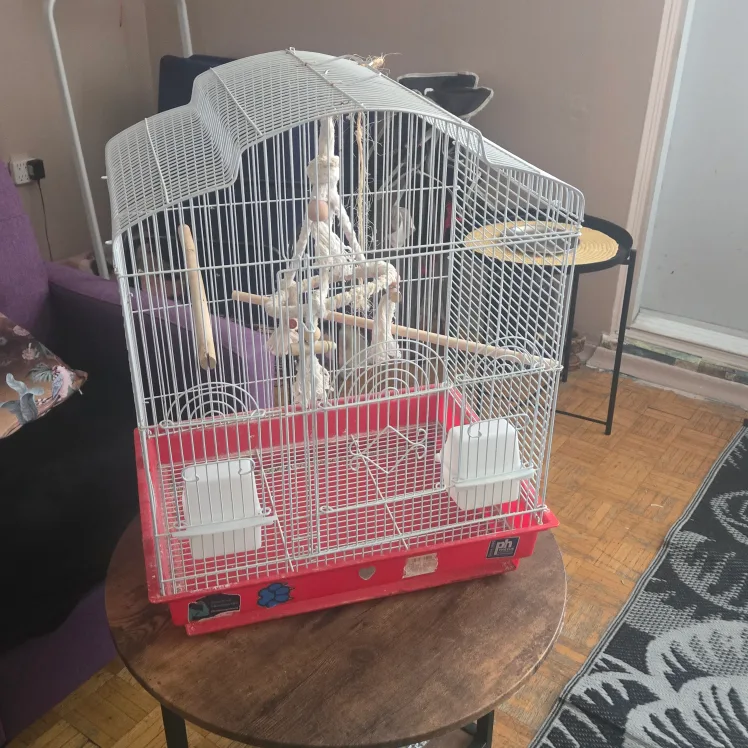 Bird Cage .medium thumbnail