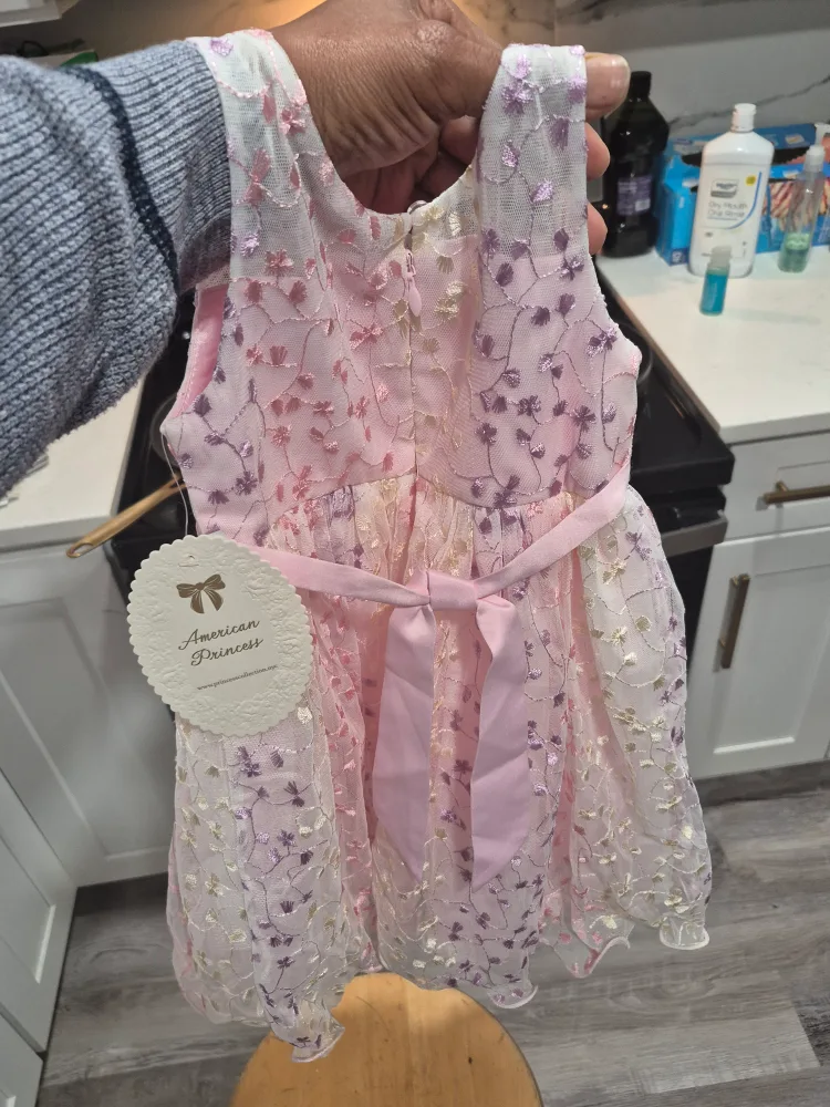 American Princess Dress - Pink Floral Lace image indicator(2)