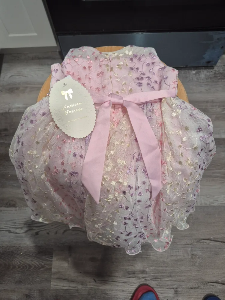 American Princess Dress - Pink Floral Lace image indicator(3)