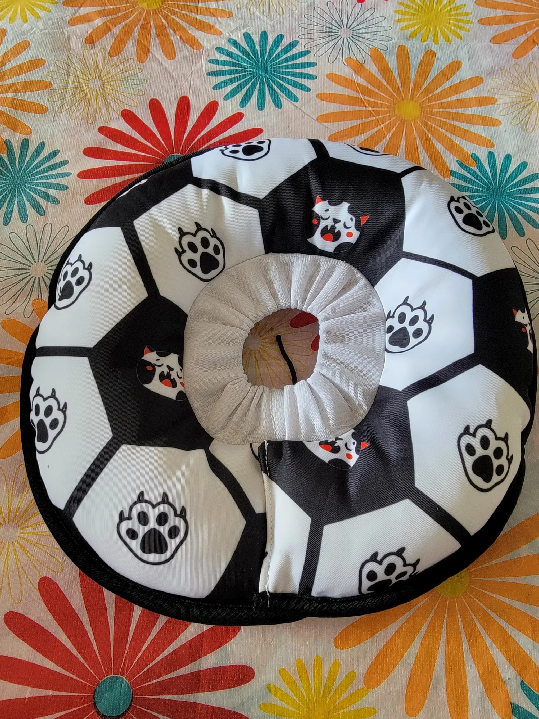 Pet Recovery Collar - Size Medium image indicator(3)