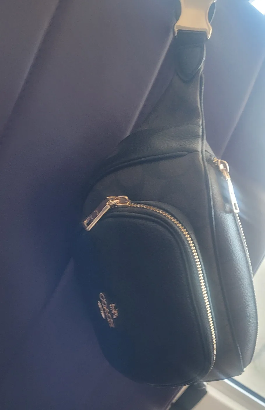 Coach Belt Bag - Brown/Black image indicator(3)