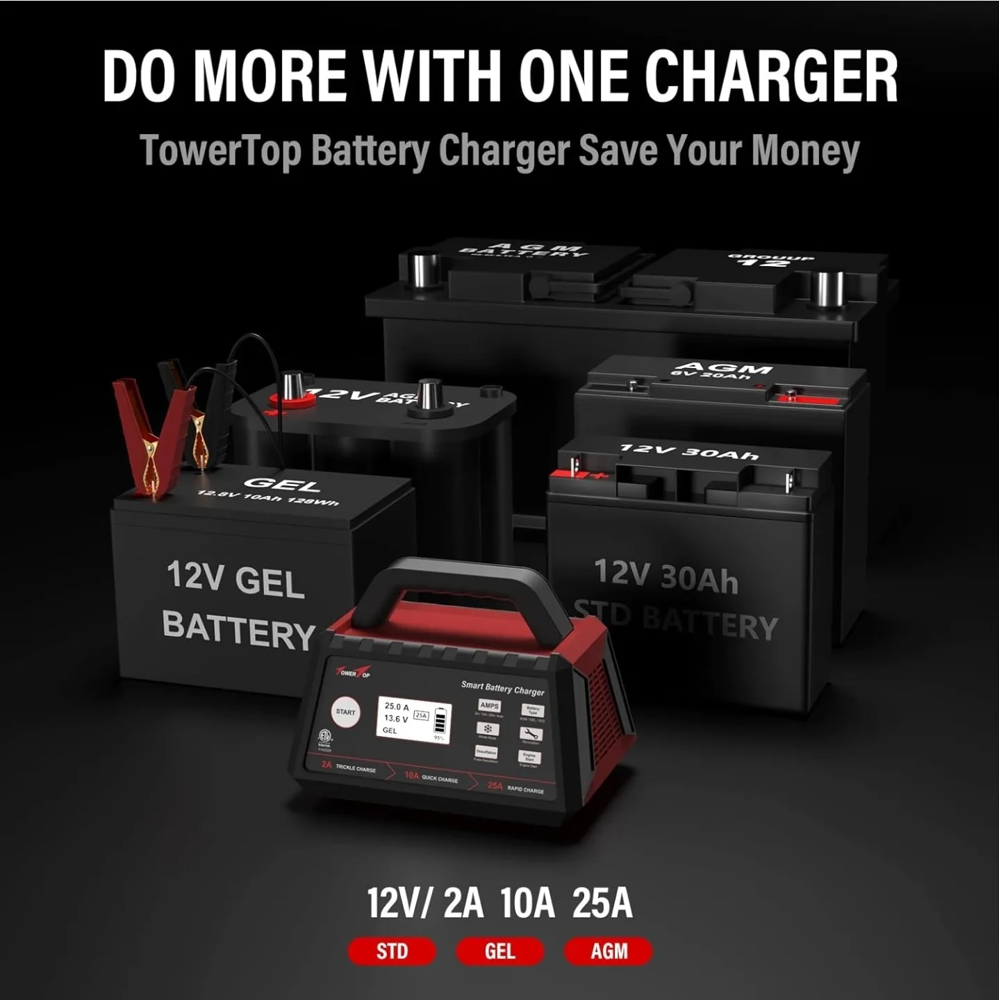 TowerTop Max 25 Amp Smart Battery Charger image indicator(4)