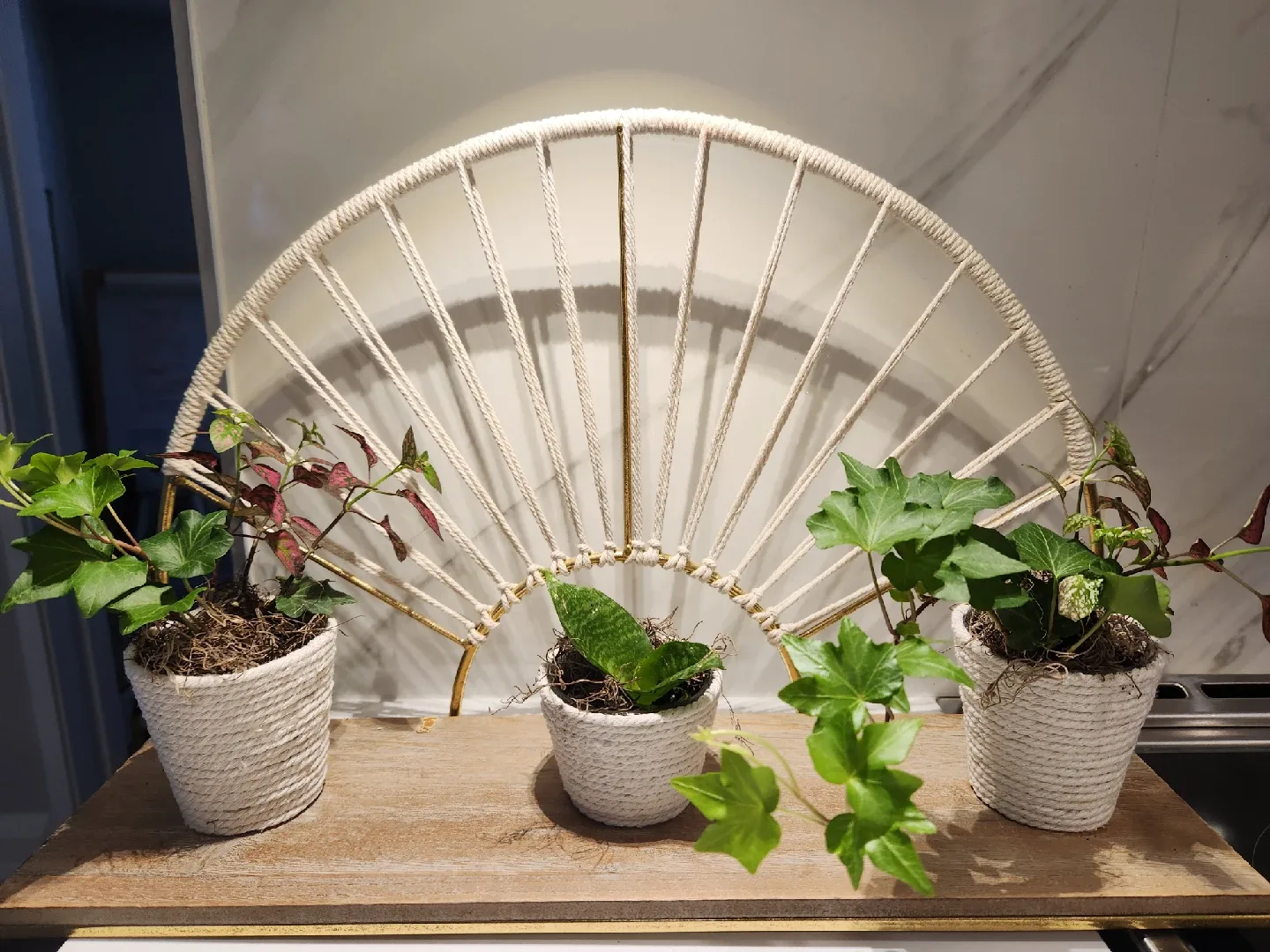 boho chic planter thumbnail