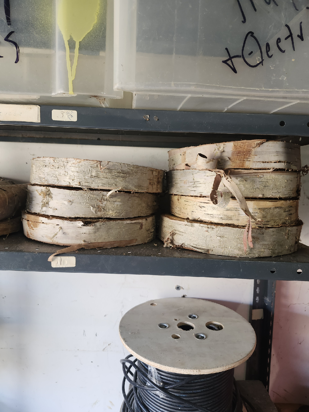 Birch Wood Rounds