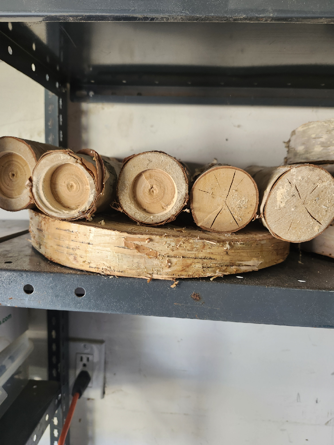 Birch Wood Rounds - photo 2