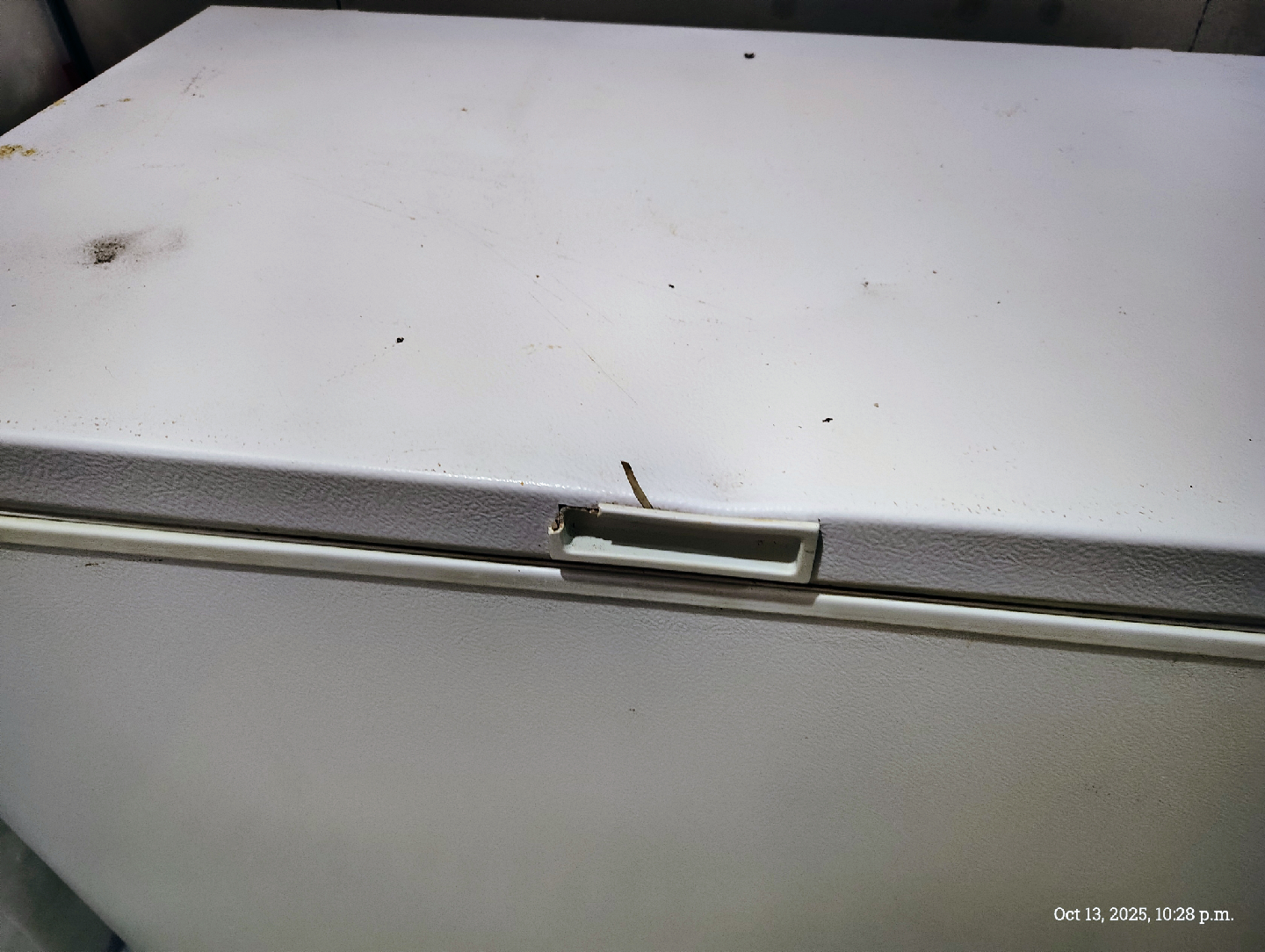 Freezer - Chest - photo 3