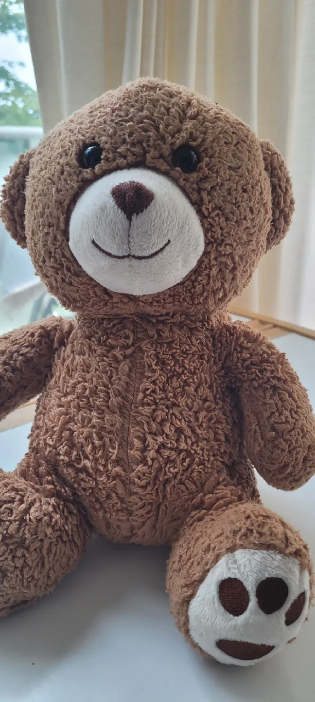 Assorted Toys: Sunglasses, Teddy Bear, Toy Cars image indicator(3)