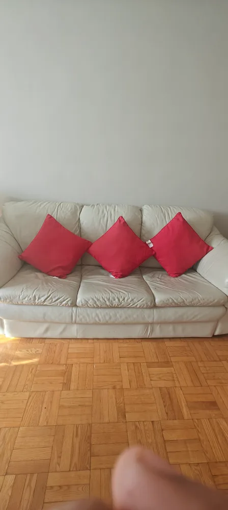 Red & White Throw Pillows - Set of 3 image indicator(5)