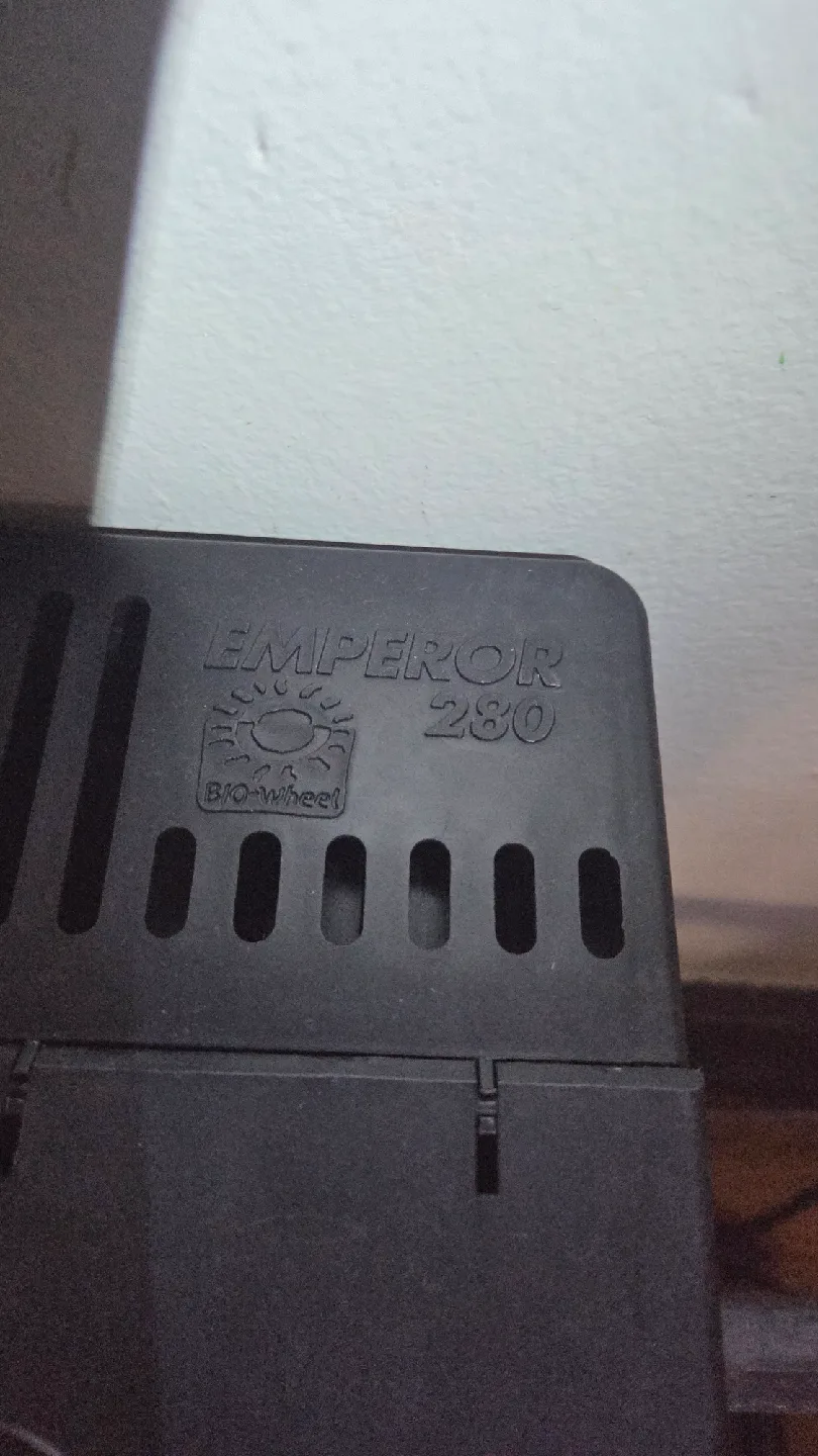 Used Fish Tank with Filter image indicator(5)