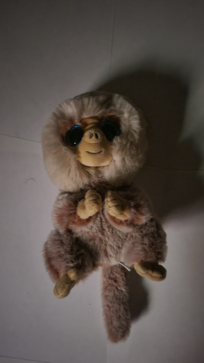 Ty Beanie Boo Plush Toy