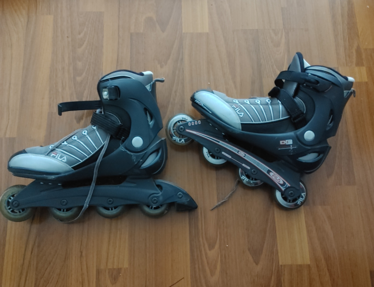 Fila Inline Skates