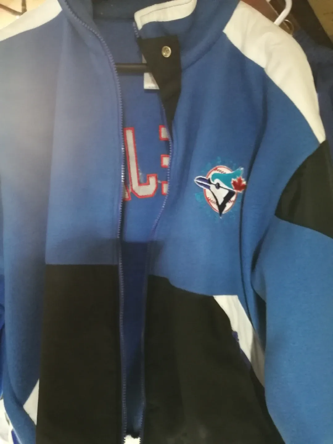 Toronto Blue Jays Jacket image indicator(4)