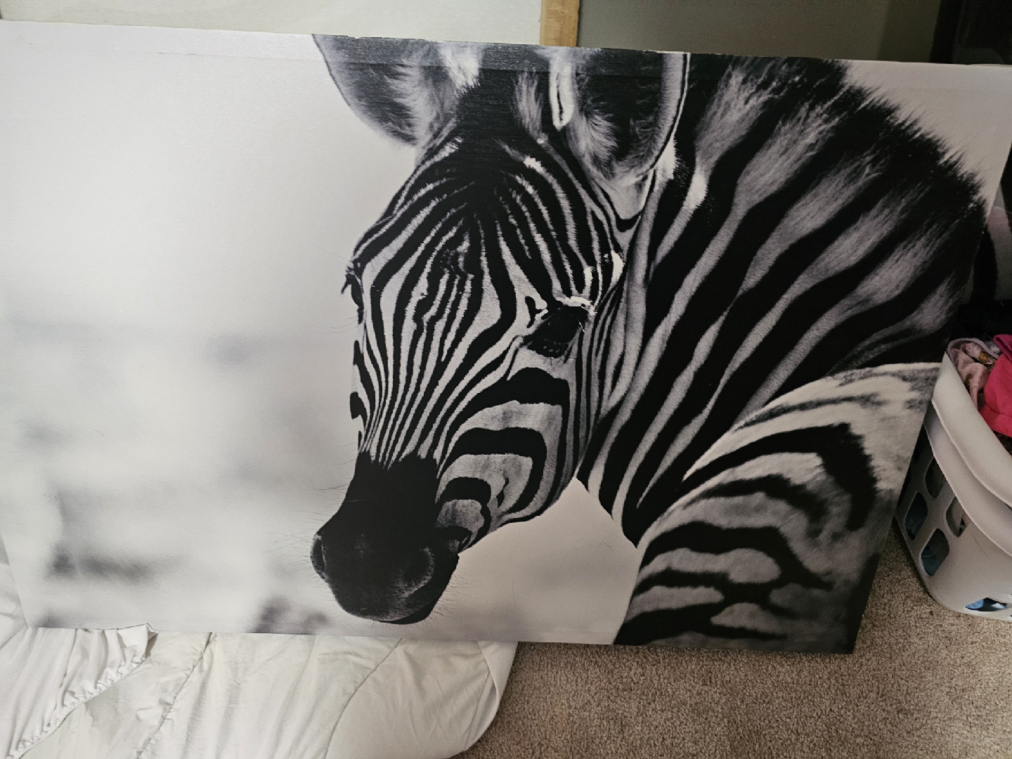 Zebra Canvas Wall Art - photo 2