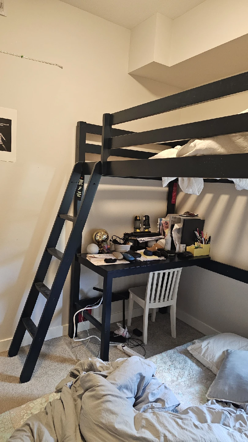Black Loft Bed with Desk