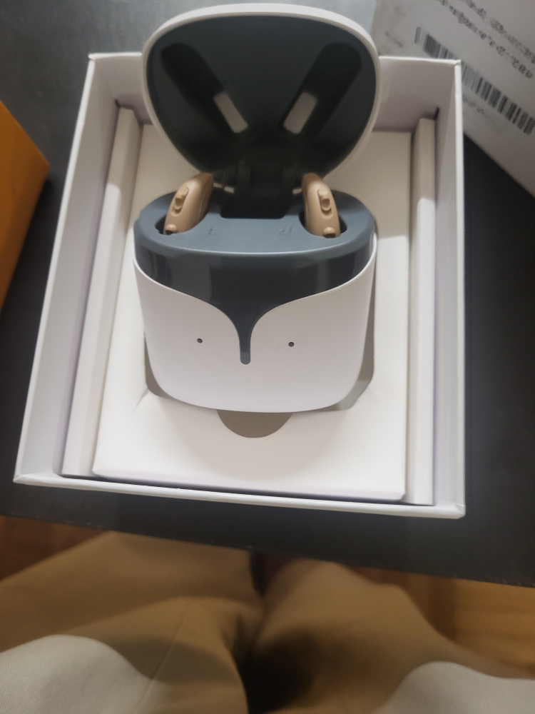 Hearing Aids with Charging Case