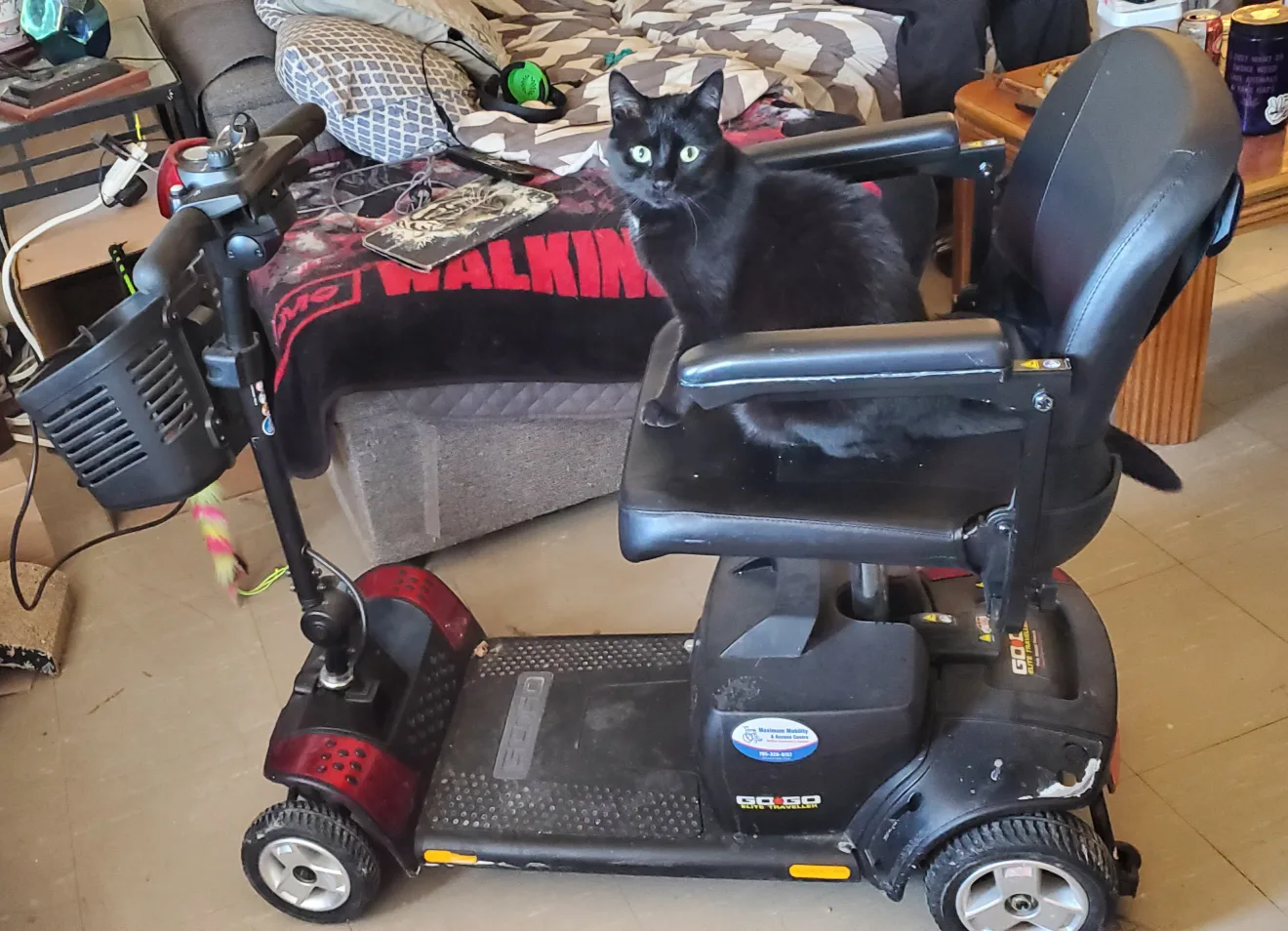 Go-Go Elite Traveller Mobility Scooter image indicator(3)