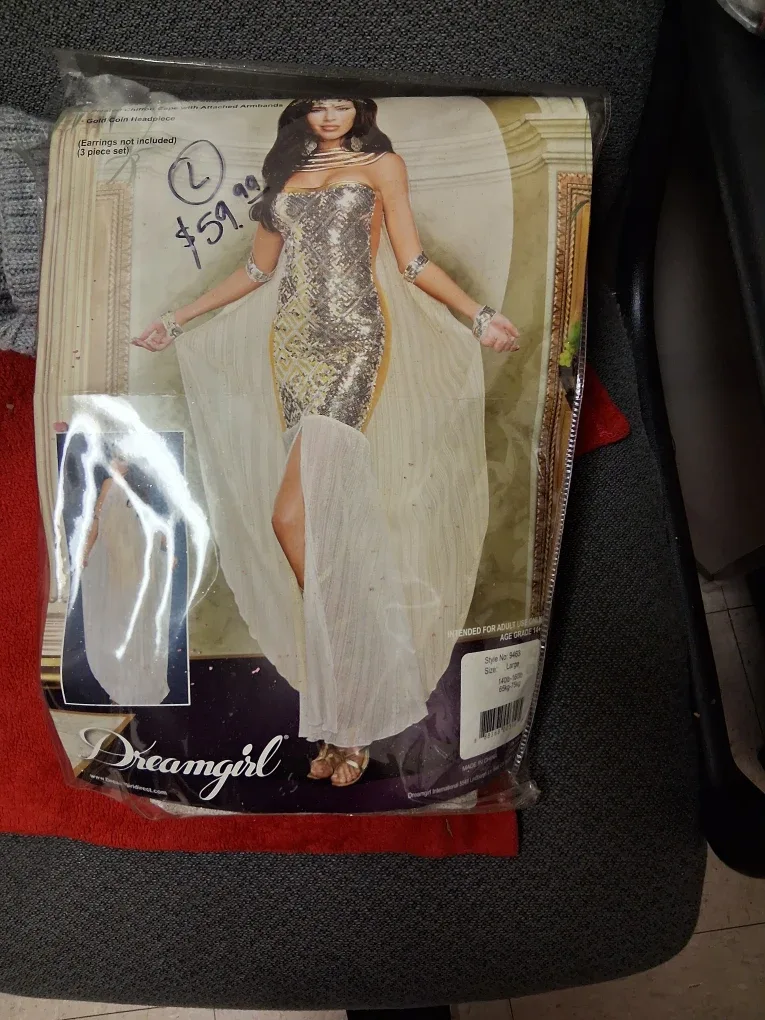 Dreamgirl Costume - Size Large image indicator(2)