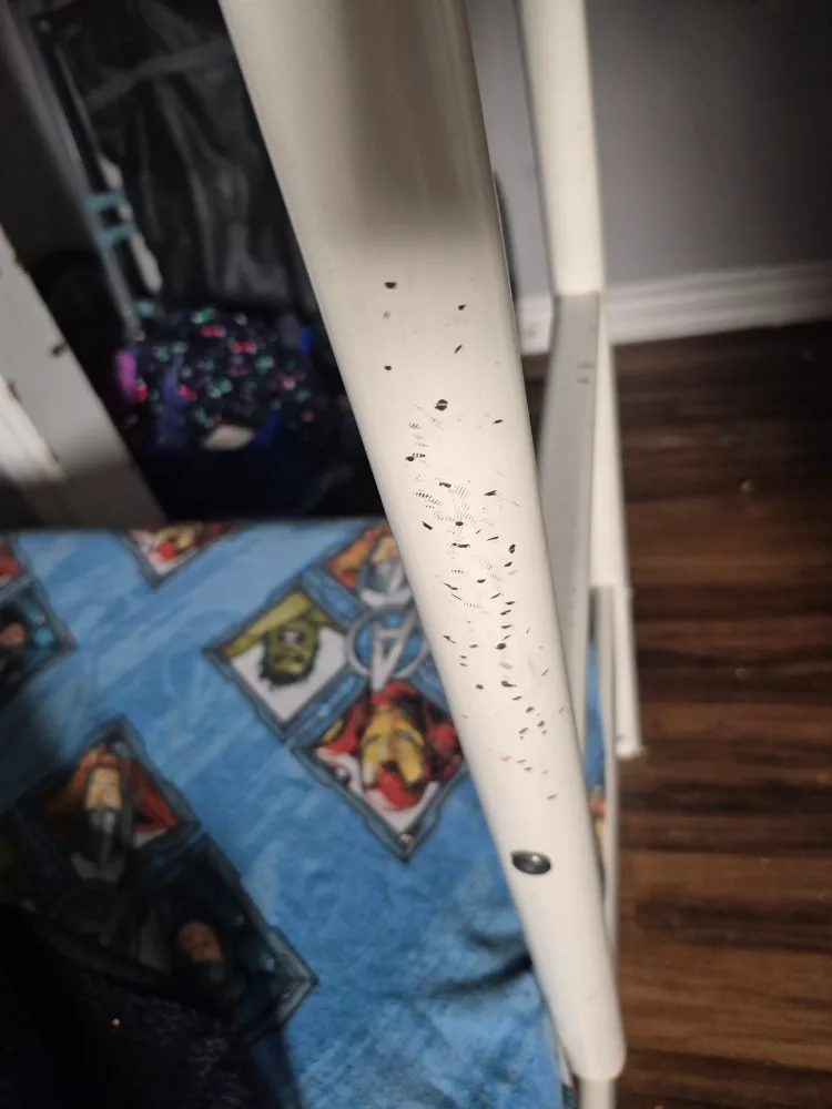 White Metal Bunk Bed Frame image indicator(2)